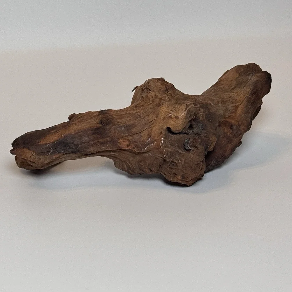 Natural Driftwood Root Sculpture Aquarium Aquascape Terrarium Wood 9.5
